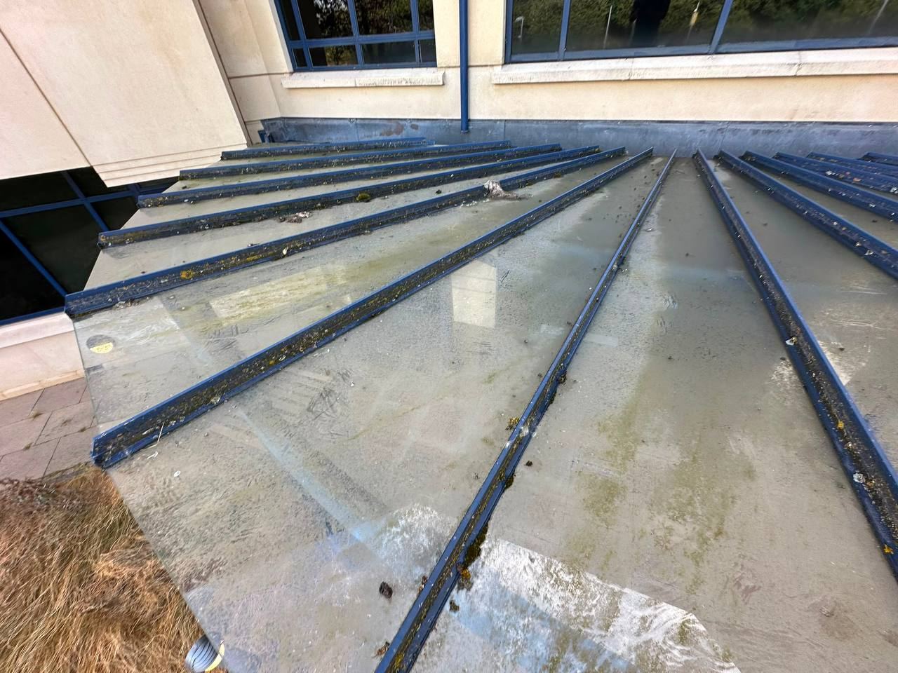 Dirty glass conservatory roof covered in moss and grime before cleaning